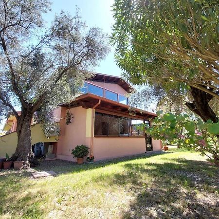 Casa L' Antico Ulivo Apartment Iglesias Ngoại thất bức ảnh